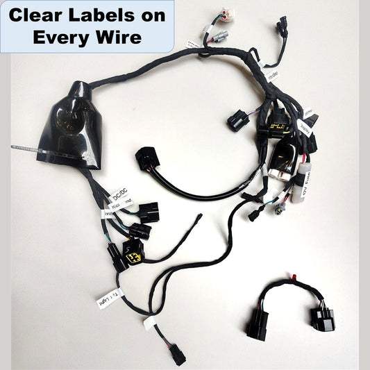 Surron Light Bee Wiring Harness - with Labels
