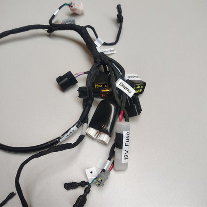 Surron Light Bee Wiring Harness - with Labels